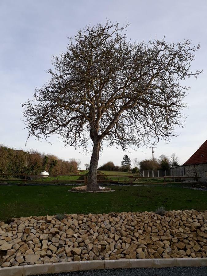 Gite " Le Vieux Noyer" Liesville-sur-Douve المظهر الخارجي الصورة